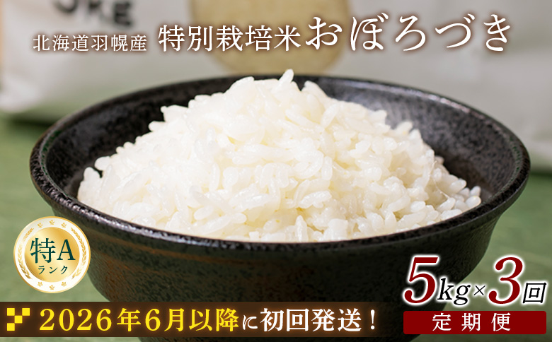 ★６月以降発送★ 【2025年産】 【定期便：3回】 北海道羽幌産 特別栽培米 おぼろづき5kg ｜ 5キロ 計15kg 計15キロ 米 定期 3回 安心 安全 北海道米 ワンストップ オンライン申請 ふるさと納税 北海道 羽幌町 羽幌【0812602】