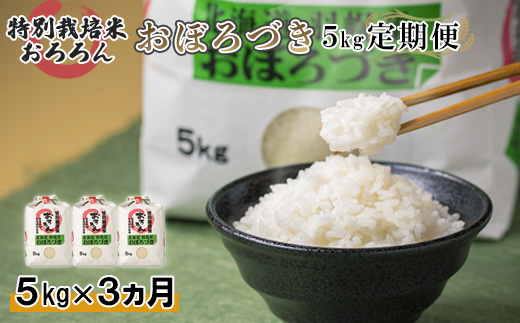 【2025年産】 【定期便：3回】 北海道羽幌産 特別栽培米 おぼろづき5kg ｜ 5キロ 計15kg 計15キロ 米 定期 3回 安心 安全 北海道米 ワンストップ オンライン申請 ふるさと納税 北海道 羽幌町 羽幌【0812602】
