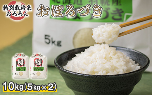 【令和5年産・新米】北海道羽幌産　特別栽培米おぼろづき10kg（5kg×2セット）【08121】