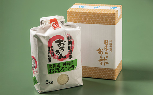 【令和5年産・お米】北海道羽幌産　特別栽培米おぼろづき10kg（5kg×2セット）【08121】