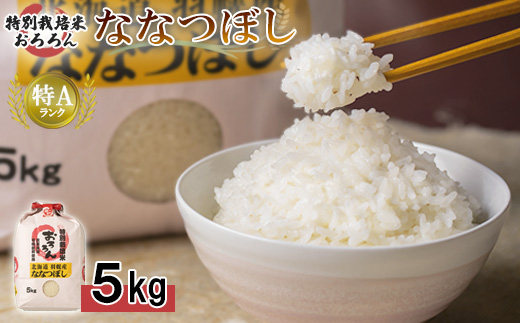 【令和5年産・新米】北海道羽幌産　特別栽培米ななつぼし5kg【08119】