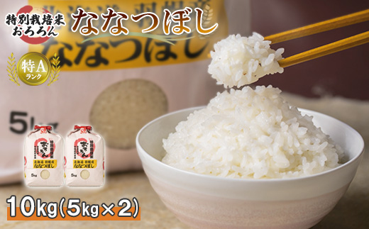 【令和5年産・新米】北海道羽幌産　特別栽培米ななつぼし10kg（5kg×2セット）【08124】