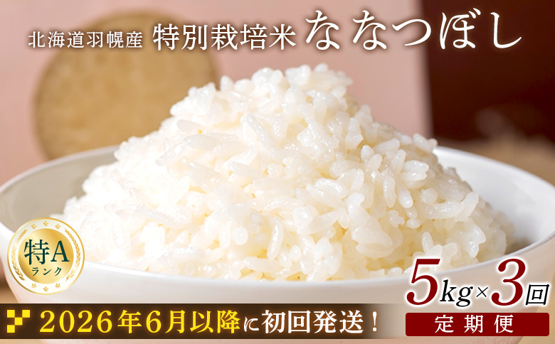 ★６月以降発送★【2025年産】 【定期便：3回】 北海道羽幌産 特別栽培米 ななつぼし5kg ｜ 5キロ 計15kg 計15キロ 米 定期 3回 安心 安全 北海道米 ワンストップ オンライン申請 ふるさと納税 北海道 羽幌町 羽幌【0812702】