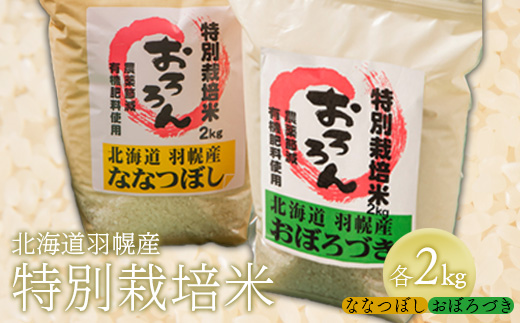 【令和5年産・新米】北海道羽幌産　特別栽培米おぼろづき2kg・ななつぼし2kgセット【08120】