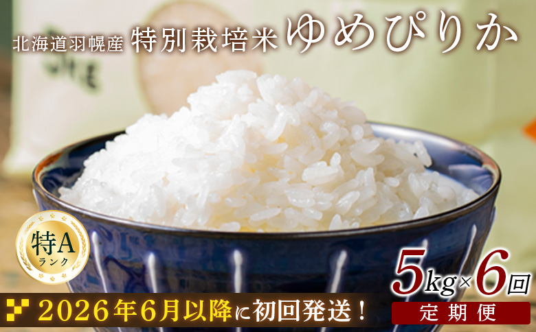 ★６月以降発送★【2025年産】 【定期便：6回】 北海道羽幌産 特別栽培米 ゆめぴりか5kg ｜ 5キロ 計30kg 計30キロ 米 定期 6回 ほどよい粘り 安心 安全 北海道米 ワンストップ ふるさと納税 北海道 羽幌町 羽幌【0811302】