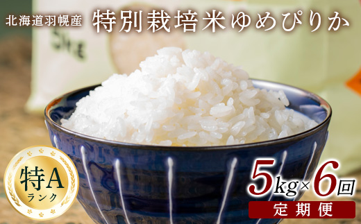 【2025年産】 【定期便：6回】 北海道羽幌産 特別栽培米 ゆめぴりか5kg ｜ 5キロ 計30kg 計30キロ 米 定期 6回 ほどよい粘り 安心 安全 北海道米 ワンストップ ふるさと納税 北海道 羽幌町 羽幌【0811302】
