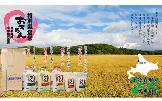 【令和5年産】【定期便：6回】令和5年産　北海道羽幌産特別栽培米ゆめぴりか5kg【08113】