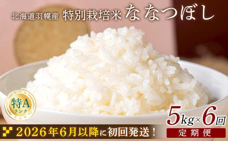 ★６月以降発送★【2025年産】 【定期便：6回】 北海道羽幌産 特別栽培米 ななつぼし5kg ｜ 5キロ 計30kg 計30キロ 米 定期 6回 安心 安全 北海道米 ワンストップ オンライン申請 ふるさと納税 北海道 羽幌町 羽幌【0811502】
