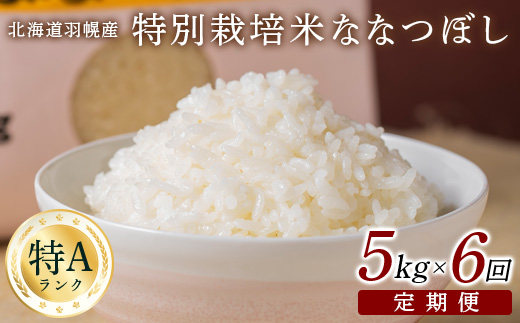 【2025年産】 【定期便：6回】 北海道羽幌産 特別栽培米 ななつぼし5kg ｜ 5キロ 計30kg 計30キロ 米 定期 6回 安心 安全 北海道米 ワンストップ オンライン申請 ふるさと納税 北海道 羽幌町 羽幌【0811502】