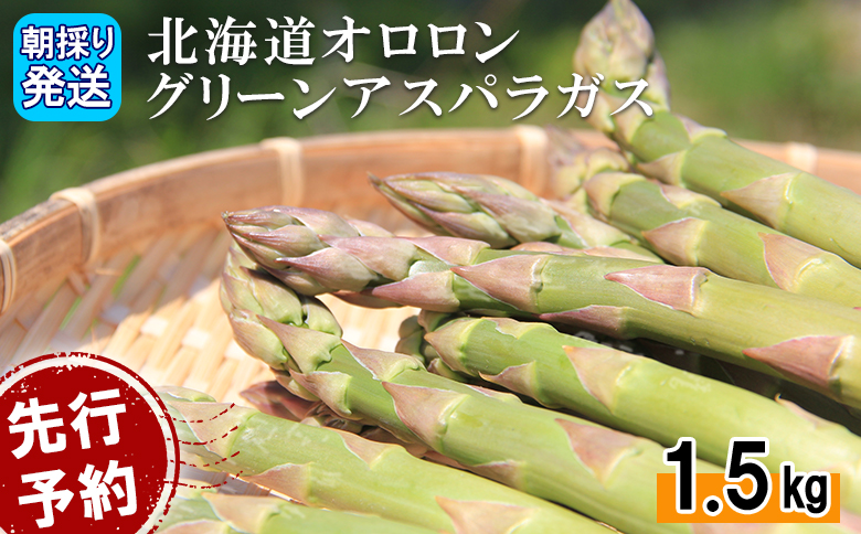 【2026年 先行予約！】【朝採り発送】北海道オロロングリーンアスパラガス 1.5kg（露地物） グリーンアスパラガス アスパラガス アスパラ グリーンアスパラ 1.5kg  朝採れ オロロン 新鮮 野菜 露地  北海道 羽幌町 羽幌 ふるさと納税【0410502】