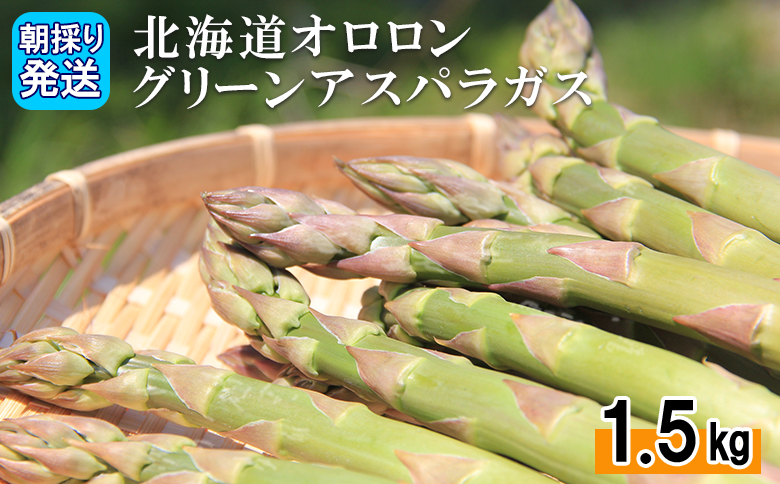 【朝採り発送】北海道オロロングリーンアスパラガス 1.5kg（露地物） グリーンアスパラガス アスパラガス アスパラ グリーンアスパラ 1.5kg  朝採れ オロロン 新鮮 野菜 露地  北海道 羽幌町 羽幌 ふるさと納税【0410502】