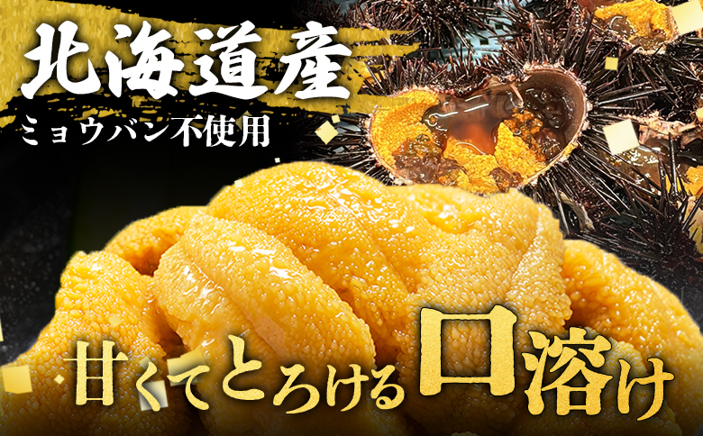 【6月上旬〜8月中旬発送予定】北海道産 塩水ウニ 100g×1 | ウニ うに 100g 1パック ミョウバン不使用 北海道 人気 旬 新鮮 羽幌町 羽幌 ふるさと納税【0211702】