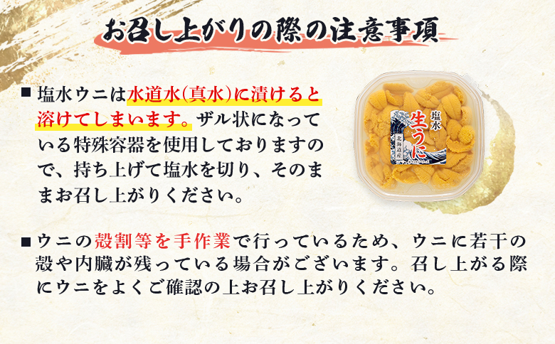 【6月上旬〜8月中旬発送予定】北海道産 塩水ウニ 100g×1 | ウニ うに 100g 1パック ミョウバン不使用 北海道 人気 旬 新鮮 羽幌町 羽幌 ふるさと納税【0211702】