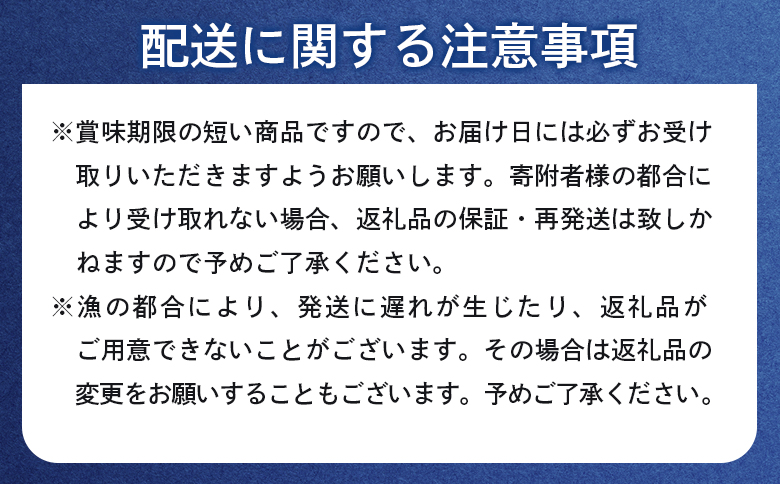 【6月上旬〜8月中旬発送予定】北海道産 塩水ウニ 100g×1 | ウニ うに 100g 1パック ミョウバン不使用 北海道 人気 旬 新鮮 羽幌町 羽幌 ふるさと納税【0211702】