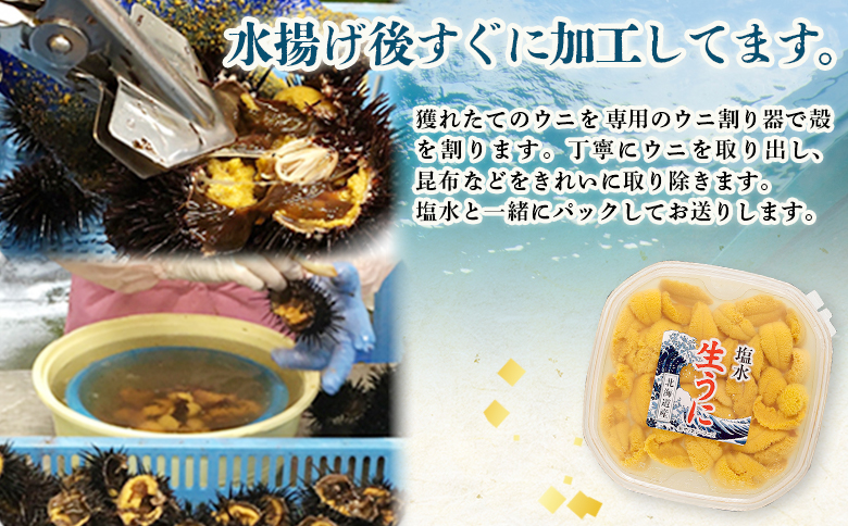 ã2026幎å
è¡äºçŽïŒãåæµ·éç£ å¡©æ°ŽãŠã 100g ã6æäžæ¬ãã8æäžæ¬çºéäºå®ã | ãŠã ãã« 100g 1ãã㯠ãã§ãŠãã³äžäœ¿çš åæµ·é äººæ° æ¬ æ°é®® 矜å¹çº çŸœå¹ ãµãããšçŽçšã0211702ã