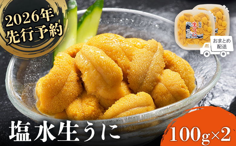 《2026年先行予約！》北海道産 塩水ウニ 200g  (100g×2パック） 【6月上旬から8月中旬発送予定】 | ウニ うに 100g 2パック ミョウバン不使用 北海道 人気 旬 新鮮 羽幌町 羽幌 ふるさと納税【0211802】