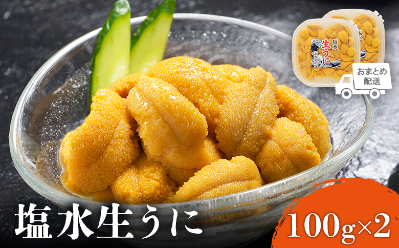 北海道産 塩水ウニ 200g  (100g×2パック） 【6月上旬から8月中旬発送予定】 | ウニ うに 100g 2パック ミョウバン不使用 北海道 人気 旬 新鮮 羽幌町 羽幌 ふるさと納税【0211802】