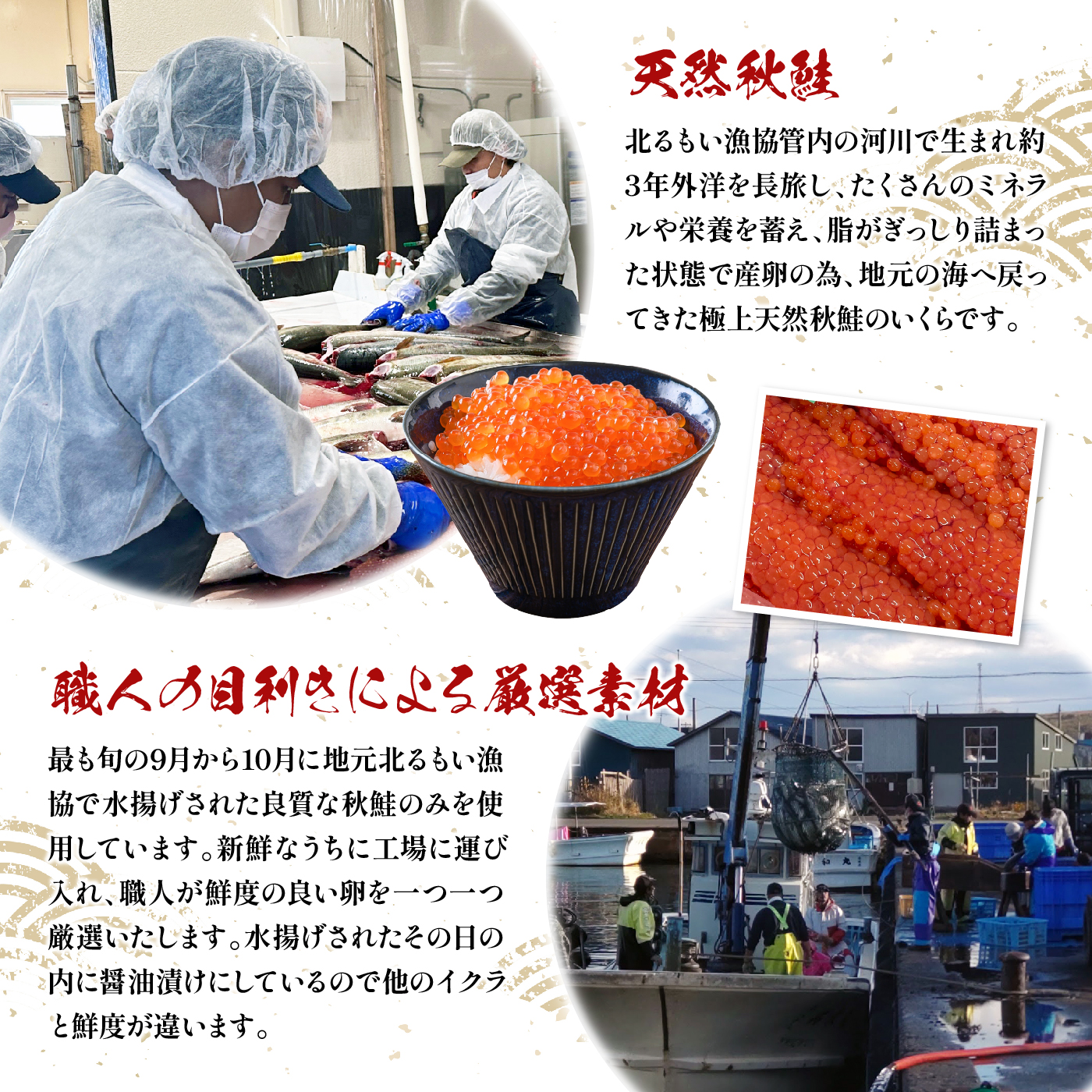 【定期便：全4回】 北海道産 いくら醤油漬け 400g 200g×2 オンライン 申請 ふるさと納税 北海道 羽幌 国産 天然 さけ いくら 秋鮭 いくら丼 卵 魚卵 海鮮 人気 旬 新鮮 ご飯のお供 定期便 4ヶ月 羽幌町【02130】