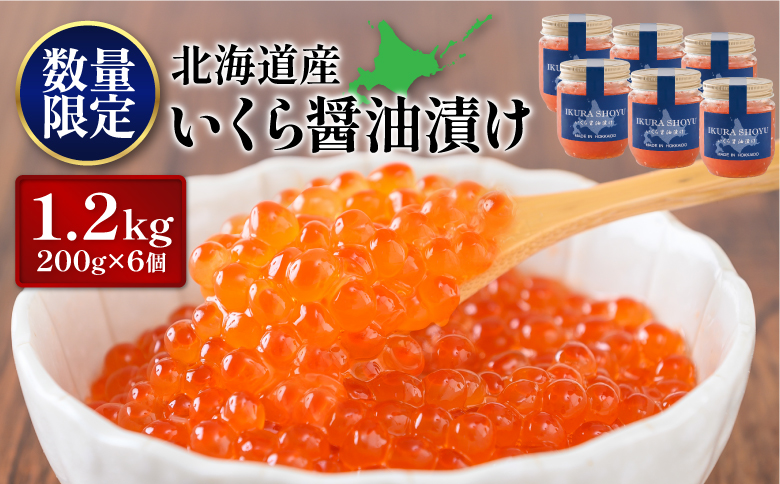 【数量限定】【10営業日以内発送！】天然秋鮭 いくら醤油漬け1.2kg(200g×6) | いくら醤油漬け 北海道 いくら イクラ 醤油漬けオンライン申請 鮭 秋鮭 小分け 国産 天然 さけ サケ 卵 魚卵 海鮮 ふるさと納税 北海道 オンライン 自治体マイページ【02133】