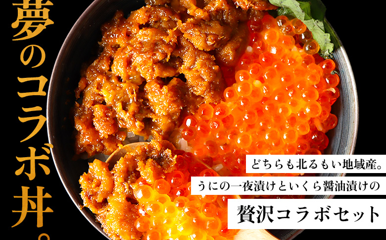 【マリナシーフーズ】うに・いくら贅沢セット | ウニ 一夜漬け 醤油 イクラ 塩ウニ いくら 鮭 秋鮭 天然 魚卵 贅沢 高級 うに 海鮮 酒の肴 おつまみ ギフト 贈り物 お祝い 正月 お取り寄せ 北海道 羽幌町 羽幌【0213702】