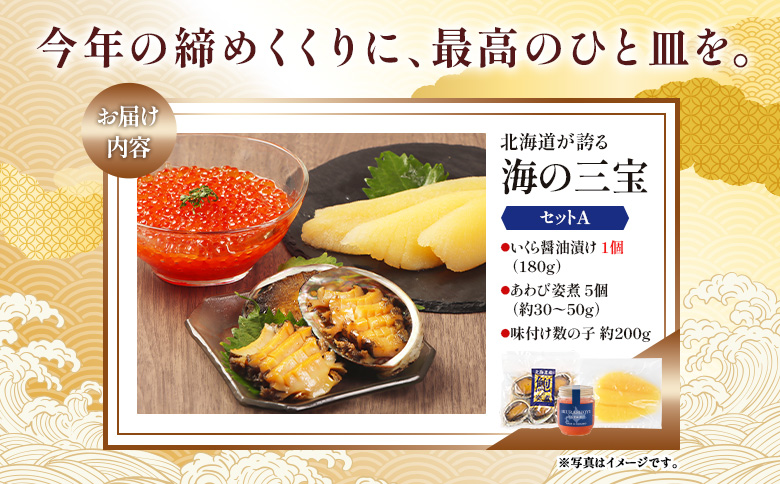 【贅沢詰合せ】北海道 海の幸3種セットA（いくら1個・あわび・味付け数の子） | 海鮮 詰め合わせ 北海道 セット いくら あわび 味付け数の子 贅沢 取り寄せ 鮑 アワビ 高級 人気 年末年始 お正月 おせち 家族団らん オンライン申請 マイページ ふるさと納税 北海道 羽幌町 マリナシーフーズ【02157】