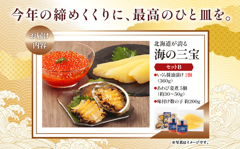 【贅沢詰合せ】北海道 海の幸3種セットB（いくら2個・あわび・味付け数の子） | 海鮮 詰め合わせ 北海道 セット いくら あわび 味付け数の子 贅沢 取り寄せ 鮑 アワビ 高級 人気 年末年始 お正月 おせち 家族団らん オンライン申請 マイページ ふるさと納税 北海道 羽幌町 マリナシーフーズ【02168】