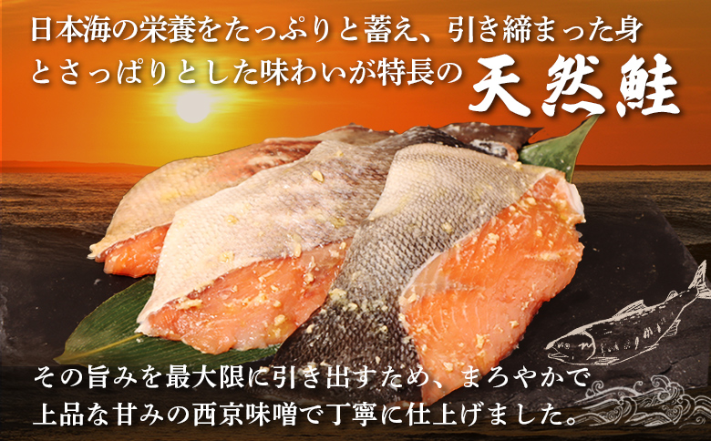 【北海道産】厚切り天然鮭西京漬け 計16枚（4枚×4パック） | 秋鮭 味噌漬け さっぱり 旨味 引き締まった身 焼き魚 小骨取り 加工 鮭 切り身 魚料理 弁当 おかず 夕食 惣菜 和食 安心 食べやすい 冷凍 保存 お取り寄せ 北海道 羽幌町 羽幌【02174】