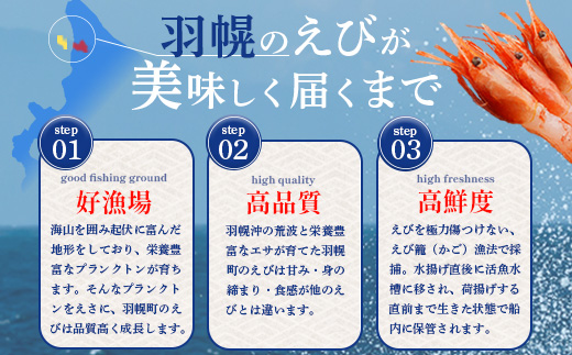 ３D冷凍で新鮮さそのまま 北海道羽幌産刺身用プリプリ甘えび 1kg【05113】