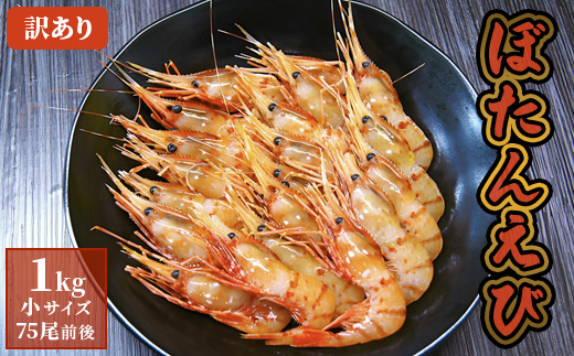 訳あり ぼたんえび 1kg 小サイズ 75尾前後 | ボタンエビ ぼたんえび えび エビ 刺身 魚介 冷凍 北海道 ふるさと納税 羽幌町 羽幌【0512402】