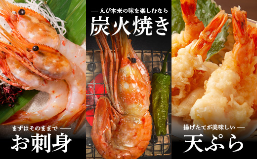 訳あり ぼたんえび 1kg 小サイズ 75尾前後 | ボタンエビ ぼたんえび えび エビ 刺身 魚介 冷凍 北海道 ふるさと納税 羽幌町 羽幌【0512402】