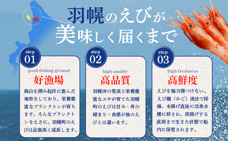 えび出汁ラーメンセット（えび味噌・えび塩×各5袋） | えび出汁ラーメン 2種 10食 えびみそラーメン えびしおラーメン 甘えび 甘エビ 即席ラーメン インスタント ご当地ラーメン オンラインワンストップ マイページ 常温 北海道 羽幌町 羽幌 ふるさと納税【0311301】