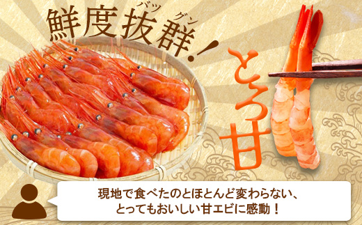 《12月22日までのご入金で年内発送！》超速リキッド凍結でドリップゼロ！北海道羽幌産生鮮甘えび 600g（200g×3パック）【0312101】