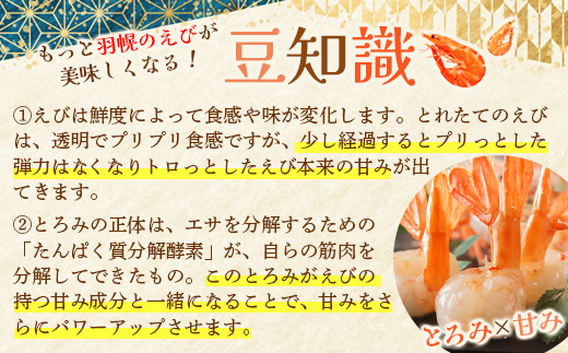 超速リキッド凍結でドリップゼロ！北海道羽幌産甘えび・ぼたんえびセット計1kg【03117】