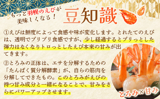 è¶
éãªãããåçµã§ããªãããŒãïŒåæµ·é矜å¹ç£çãã³ã»ãŒãããã³ã»ããèš1kgã0311701ã