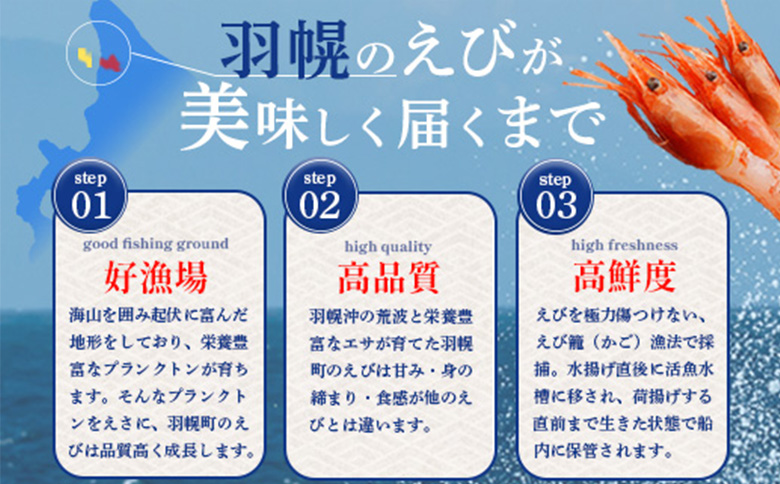 超速リキッド凍結でドリップゼロ! 北海道羽幌産生鮮甘えび 400g | 甘えび 200g×2パック 新鮮 海鮮 魚介 甲殻類 海老 エビ 人気 小分け 刺身 丼 お吸い物 唐揚げ 贅沢 おつまみ 酒の肴 冷凍 お取り寄せ 北海道 羽幌町【03125】