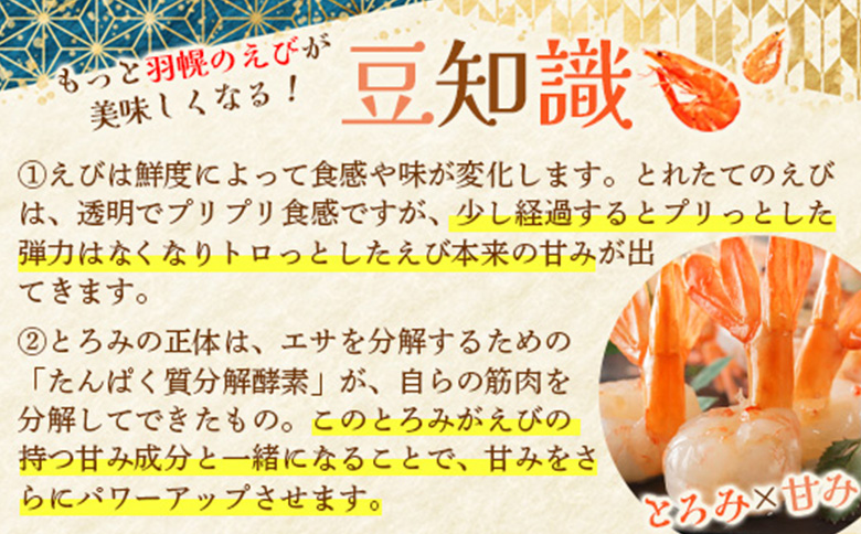 超速リキッド凍結でドリップゼロ! 北海道羽幌産生鮮甘えび 400g | 甘えび 200g×2パック 新鮮 海鮮 魚介 甲殻類 海老 エビ 人気 小分け 刺身 丼 お吸い物 唐揚げ 贅沢 おつまみ 酒の肴 冷凍 お取り寄せ 北海道 羽幌町【03125】