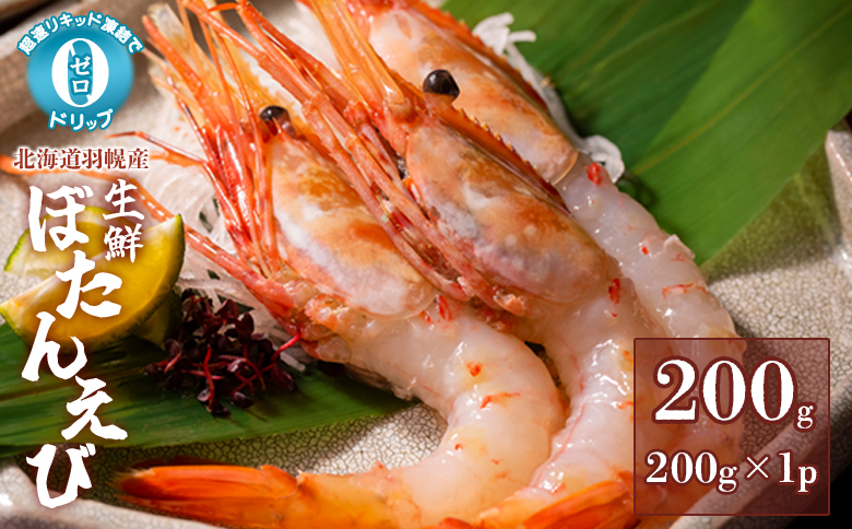 超速リキッド凍結でドリップゼロ! 北海道羽幌産生鮮ぼたんえび 200g | ぼたんえび 200g×1パック 新鮮 海鮮 魚介 甲殻類 海老 エビ 人気 小分け 刺身 丼 贅沢 おつまみ 酒の肴 冷凍 お取り寄せ 北海道 羽幌町【0312601】
