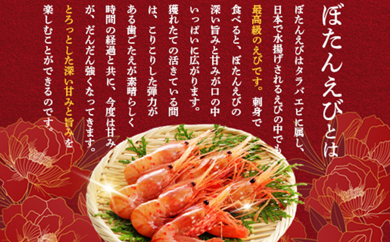 è¶
éãªãããåçµã§ããªãããŒã! åæµ·é矜å¹ç£çé®®ãŒãããã³ 400g | ãŒãããã³ 200gÃ2ãã㯠æ°é®® æµ·é®® éä» ç²æ®»é¡ æµ·è ãšã äººæ° å°åã åºèº« 䞌 èŽ
æ²¢ ãã€ãŸã¿ é
ã®èŽ å·å ãåãå¯ã åæµ·é 矜å¹çºã03127ã