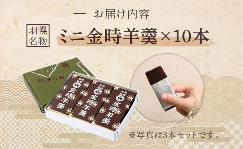 羽幌名物 ミニ金時羊羹10本入 | 金時 羊羹 計10本 老舗 梅月 ようかん 和菓子 全国菓子博覧会 金賞受賞 小豆 あずき スイーツ グルメ ご当地 取り寄せ お土産 北海道 羽幌町 羽幌【11111】