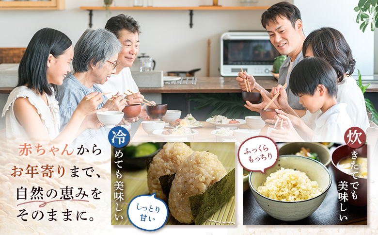 【2025年産】【定期便：3回】北海道産 特別栽培米 ゆめぴりか 玄米 5kg（無化学肥料・農薬不使用） | 玄米 米 ごはん ゆめぴりか 農薬不使用 健康 和食 冷めても美味しい お弁当用 玄米 白米 国産 おいしい ふっくら ご飯 安心 安全 お取り寄せ ふるさと納税 北海道 羽幌町 羽幌【25138】