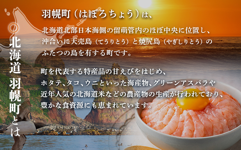 北海道羽幌町への応援寄付　返礼品なし　1口 2,000円【99002】