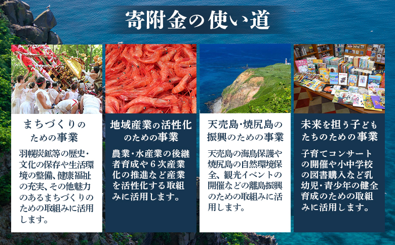 北海道羽幌町への応援寄付　返礼品なし　1口 3,000円【99003】