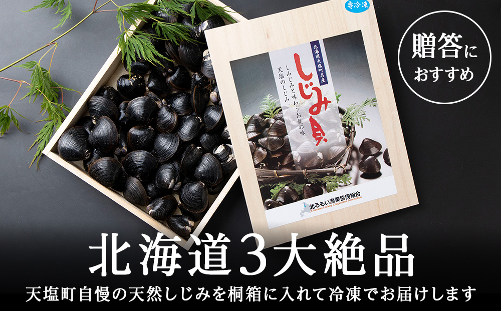 復活！天塩町名産冷凍しじみ「特大貝桐箱入り」１ｋｇ＜北るもい漁業協同組合　天塩支所＞