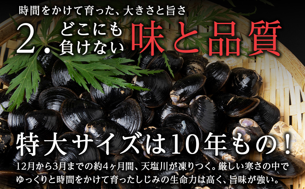 復活！天塩町名産冷凍しじみ「特大貝桐箱入り」１ｋｇ＜北るもい漁業協同組合　天塩支所＞