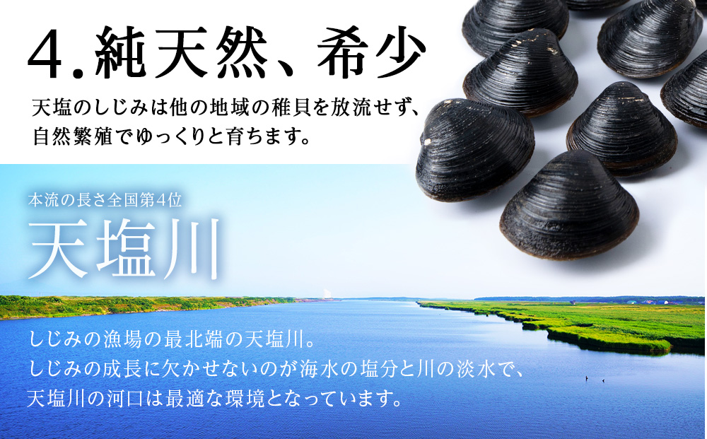 復活！天塩町名産冷凍しじみ「特大貝桐箱入り」１ｋｇ＜北るもい漁業協同組合　天塩支所＞