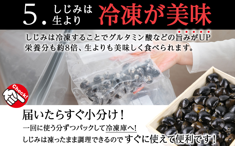 復活！天塩町名産冷凍しじみ「特大貝桐箱入り」１ｋｇ＜北るもい漁業協同組合　天塩支所＞