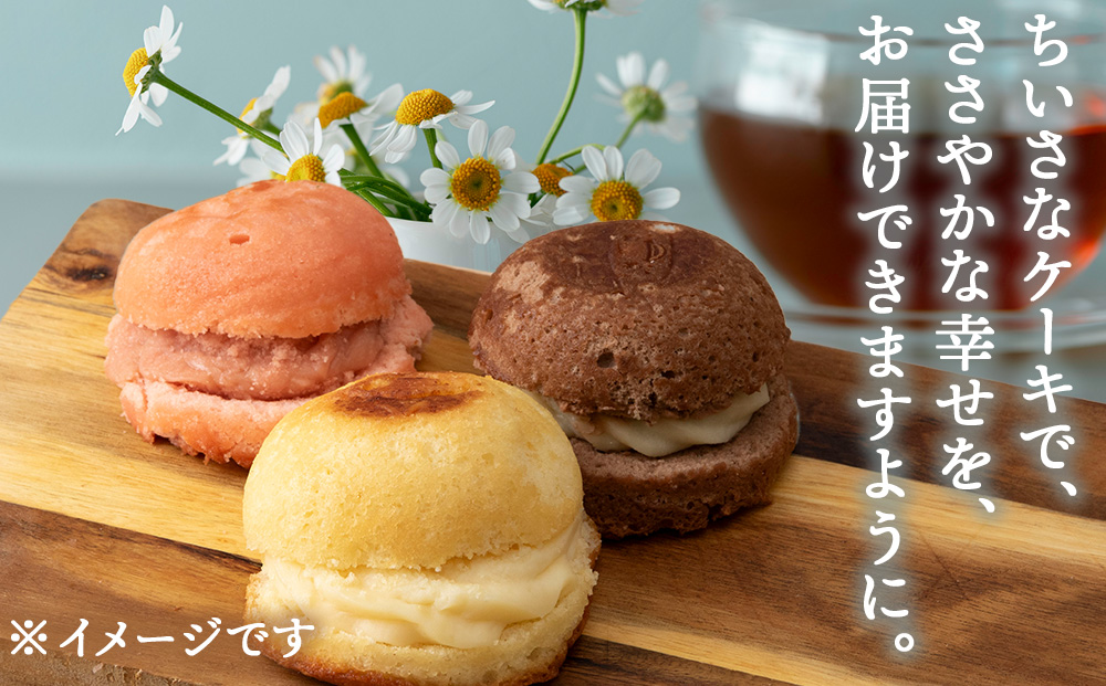 カスターケーキ 生チョコ6個セット【とらや菓子司】国産 北海道産 スイーツ デザート ケーキ お菓子
