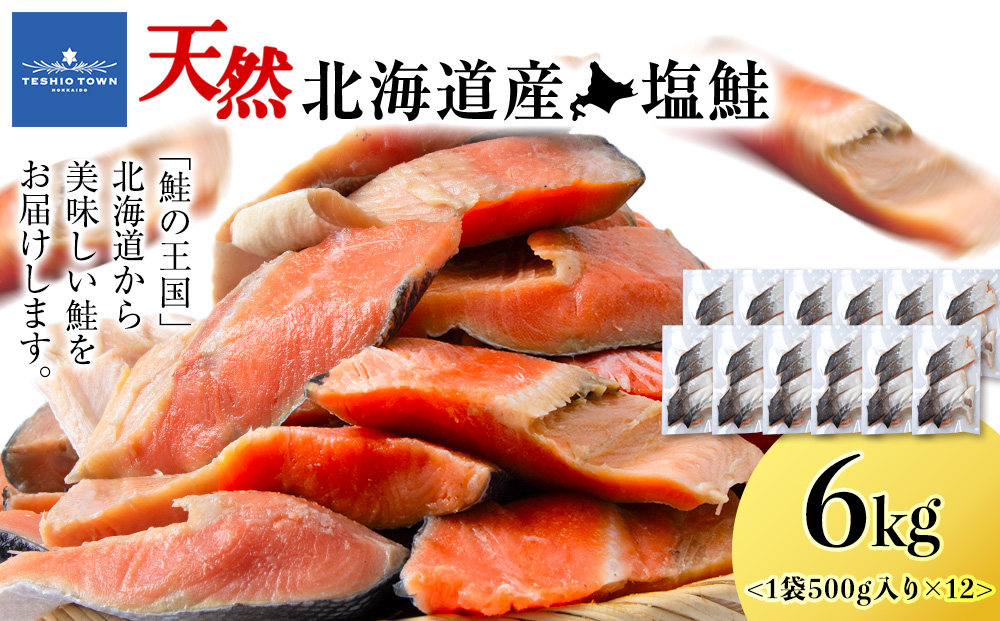 北海道産 塩サケ切り身 6kg しゃけ サケ 海鮮 魚 切り身