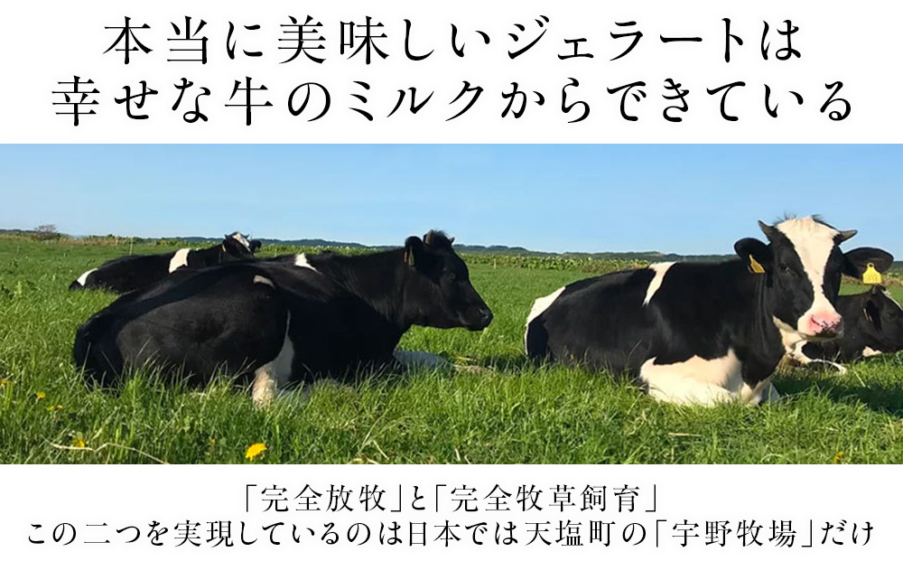 【定期便3ヵ月】幸せな牛のミルクからできたジェラート パティシエおすすめ12個セット ＜?SAKURA STYLE＞