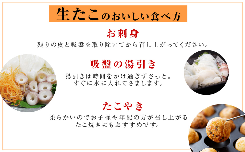 ☆天塩町産たこ足 2kg【お刺身や酢の物に！】タコ たこ 蛸 国産 海鮮 刺身 酢の物 シーフード